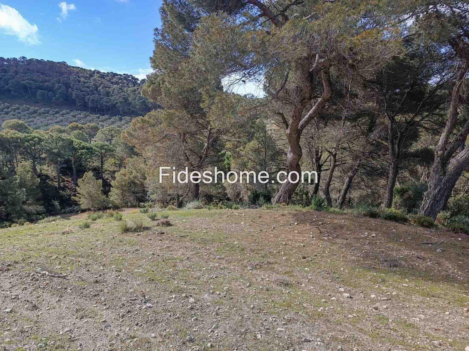 Building Site for Sale in Albuñuelas