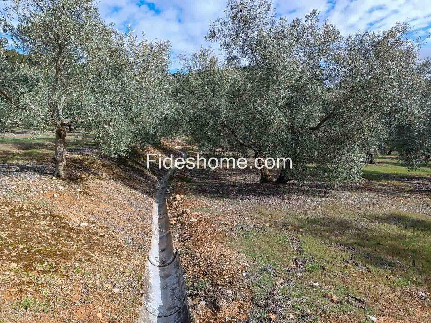 Building Site for Sale in Albuñuelas