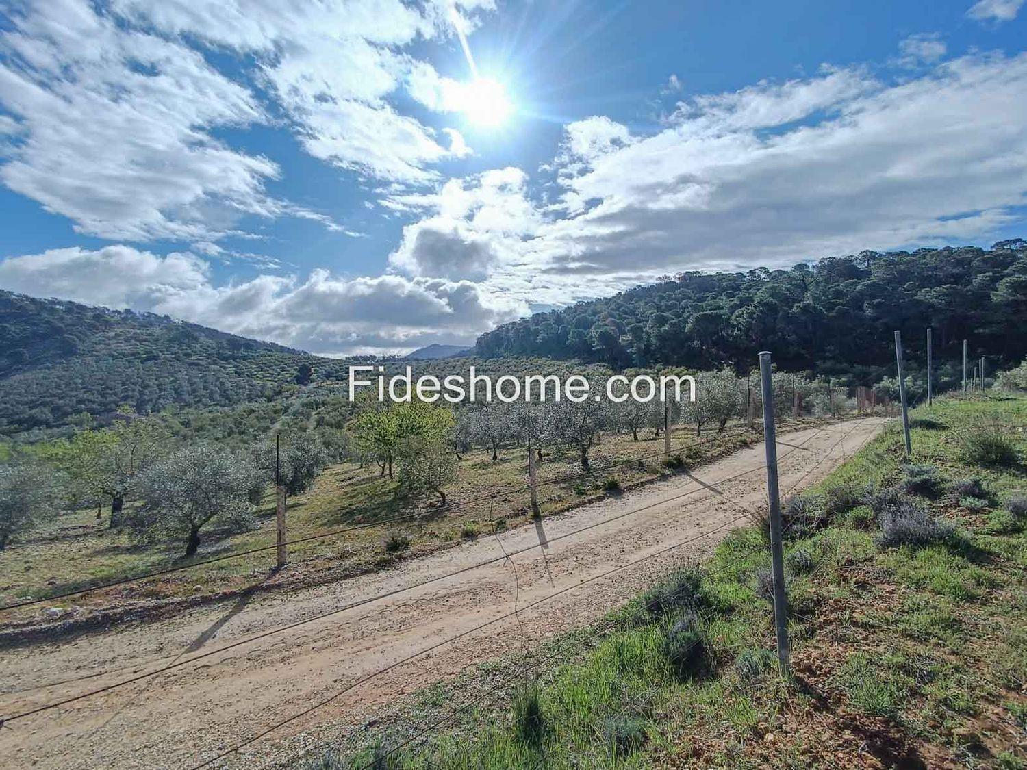 Building Site for Sale in Albuñuelas