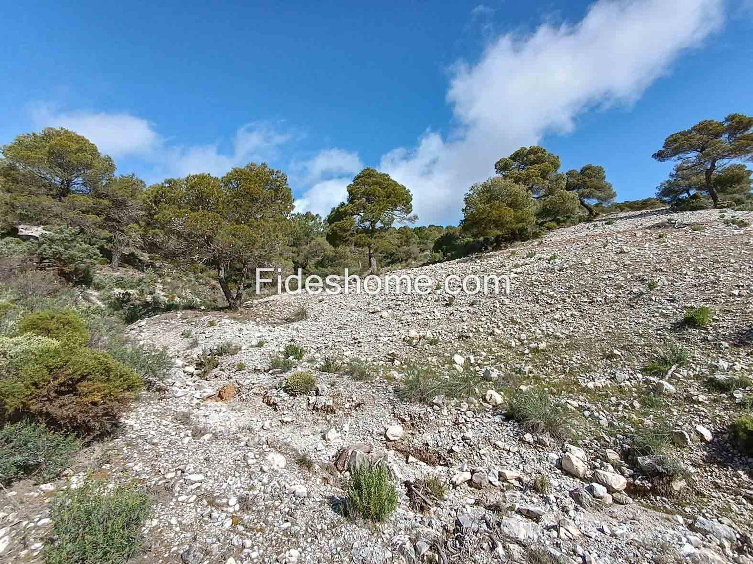 Building Site for Sale in Albuñuelas
