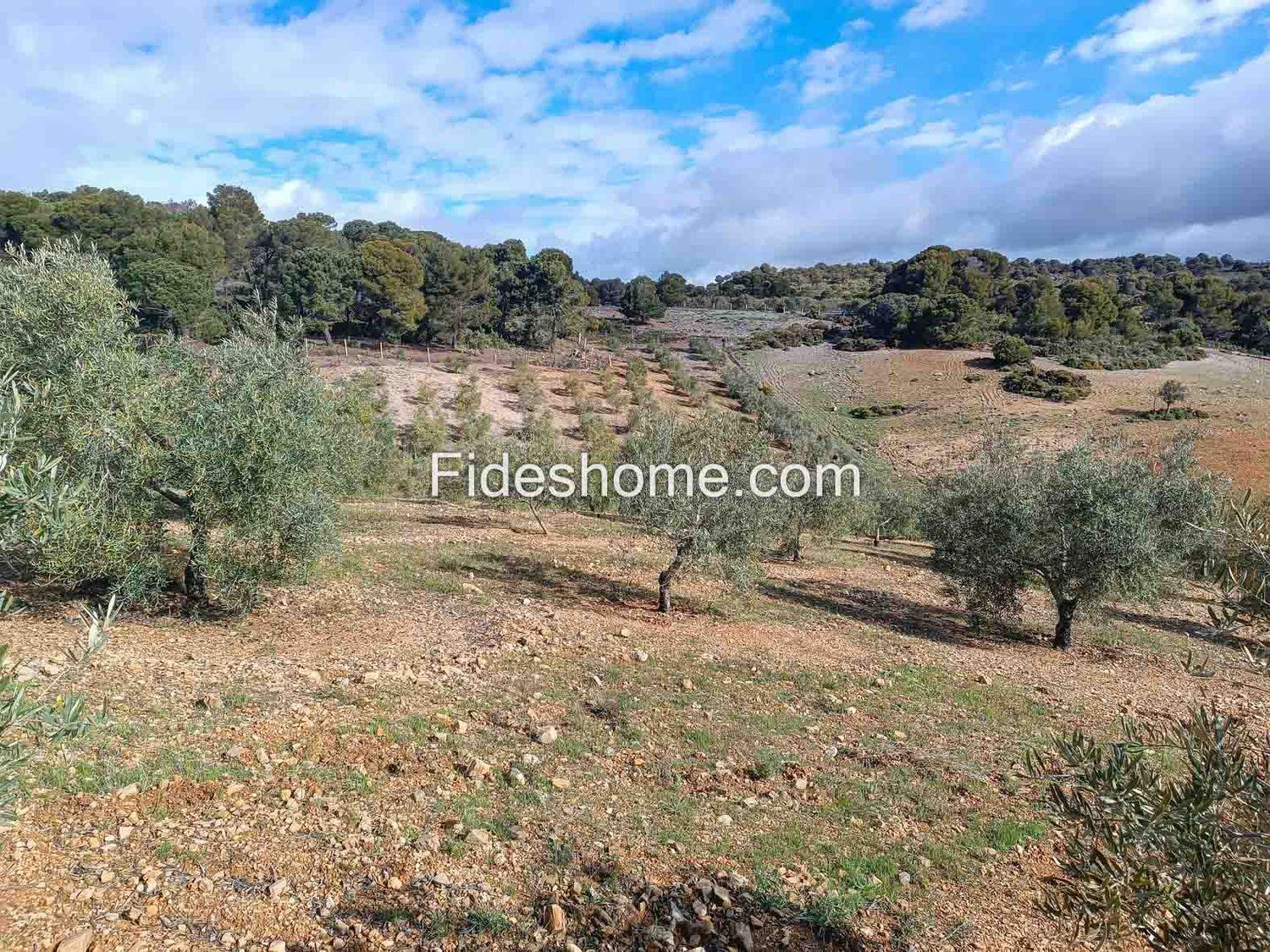 Building Site for Sale in Albuñuelas