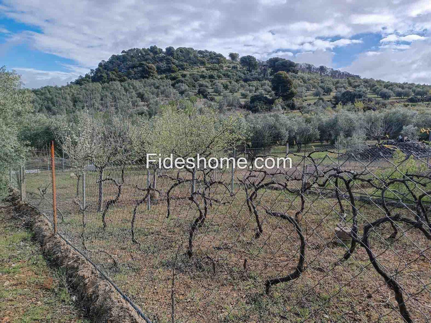 Building Site for Sale in Albuñuelas