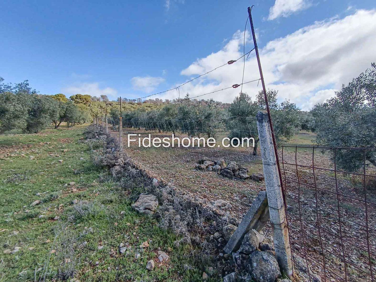 Plot for Sale in Albuñuelas