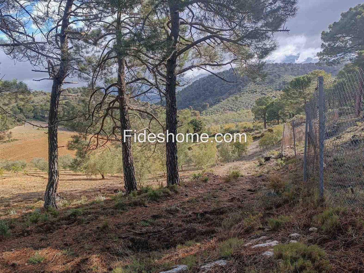 Building Site for Sale in Albuñuelas