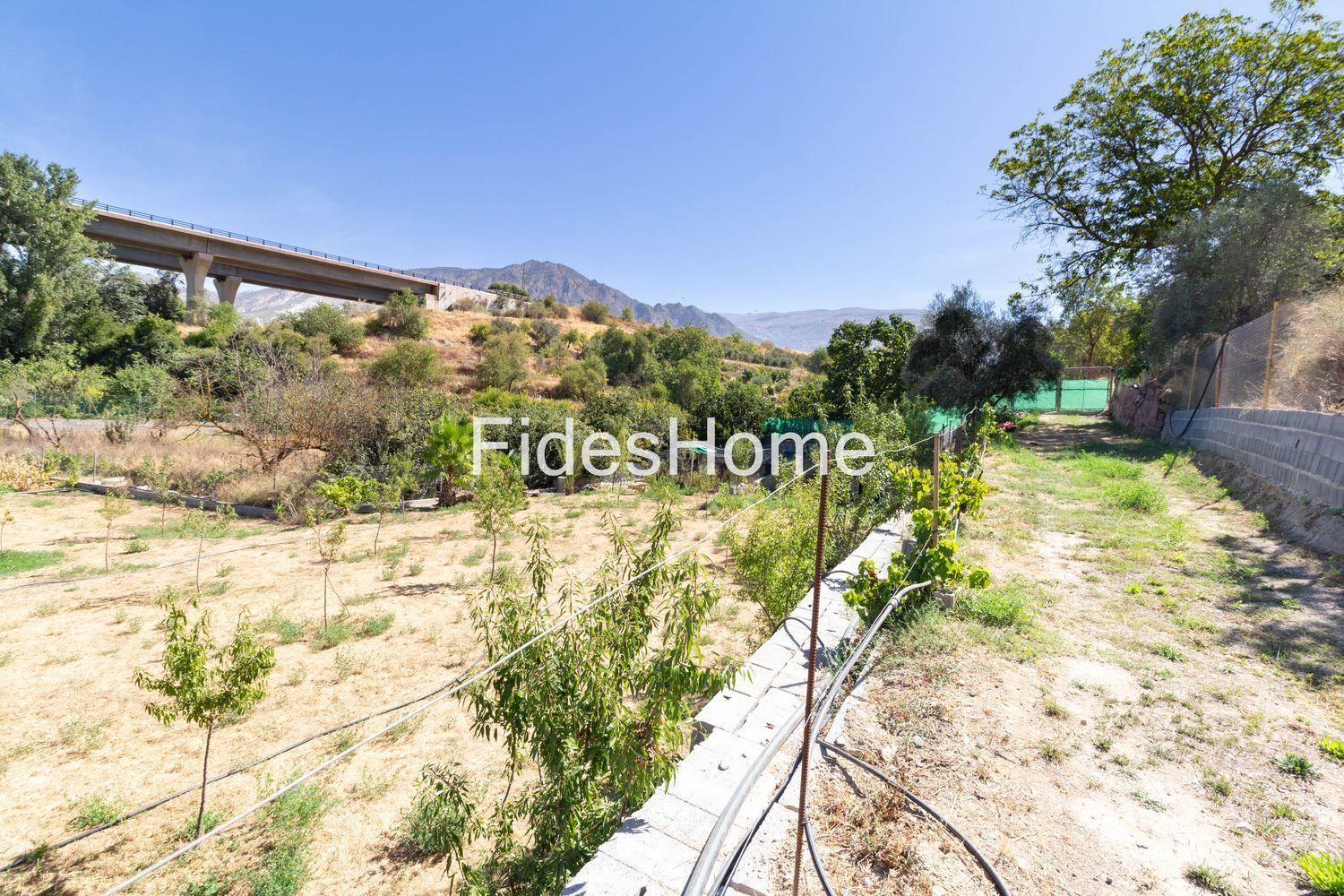 Plot for Sale in Dúrcal