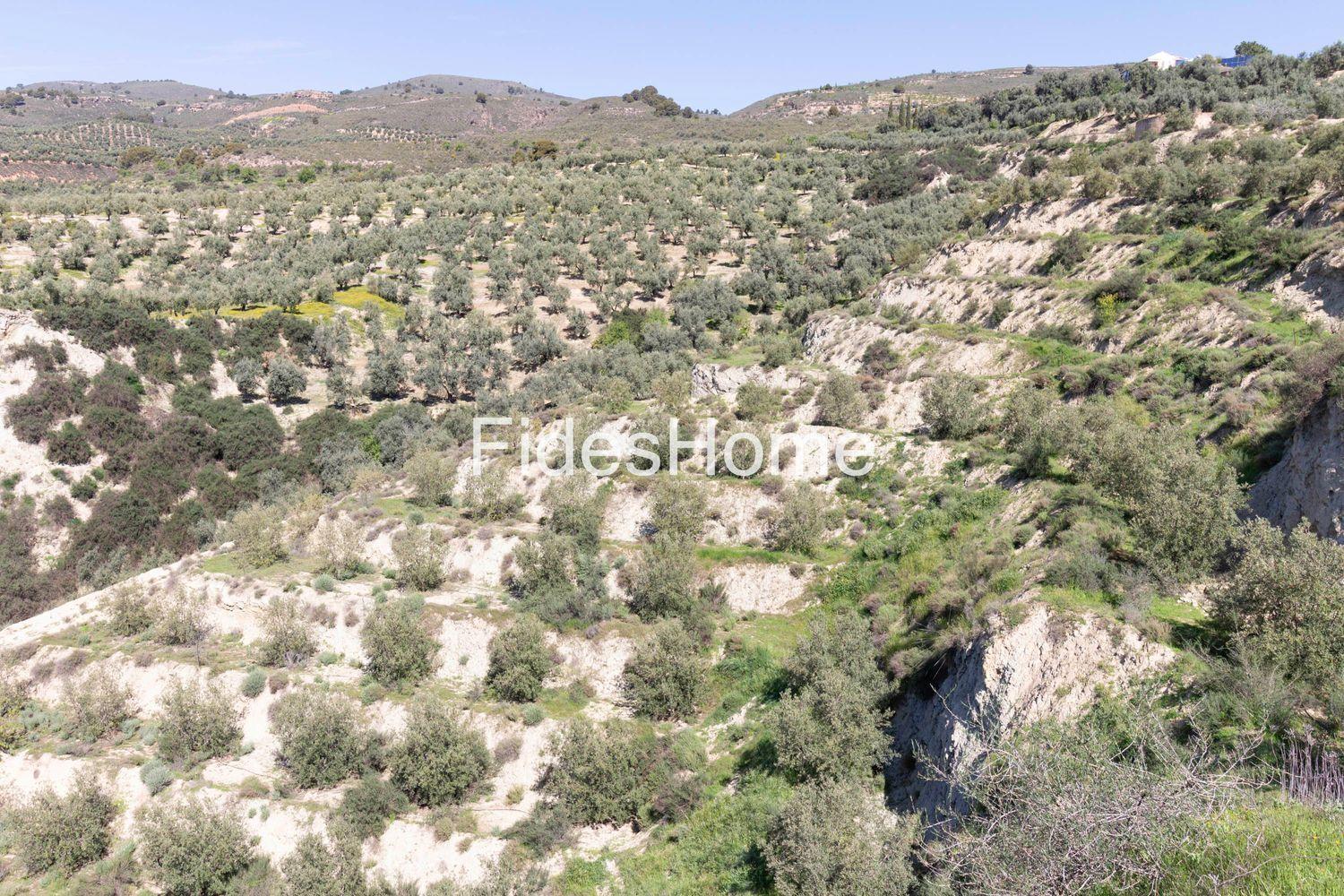 House for Sale in El Valle