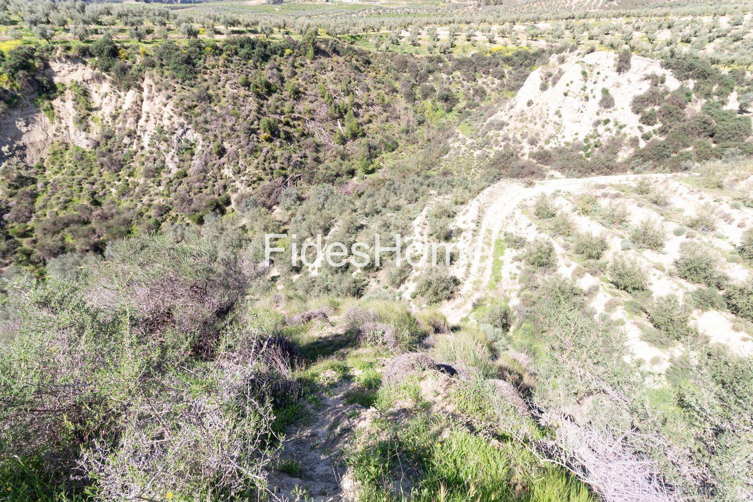 House for Sale in El Valle