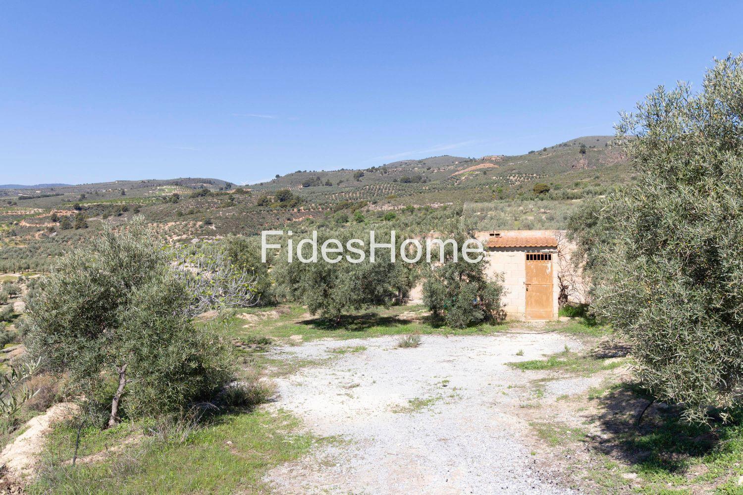 House for Sale in El Valle
