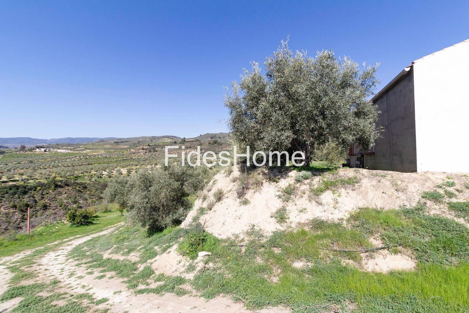 House for Sale in El Valle