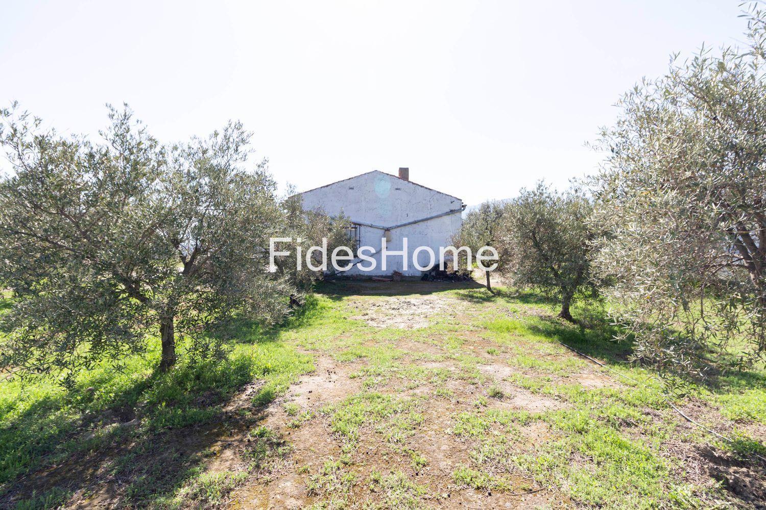 House for Sale in El Valle