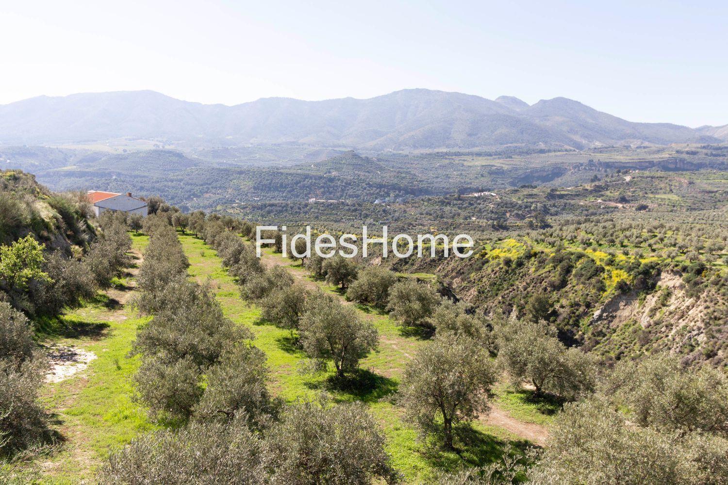 House for Sale in El Valle
