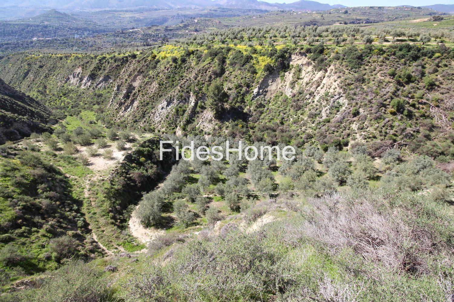 House for Sale in El Valle
