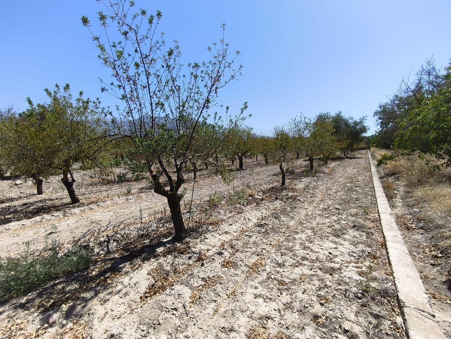 Building Site for Sale in Dúrcal