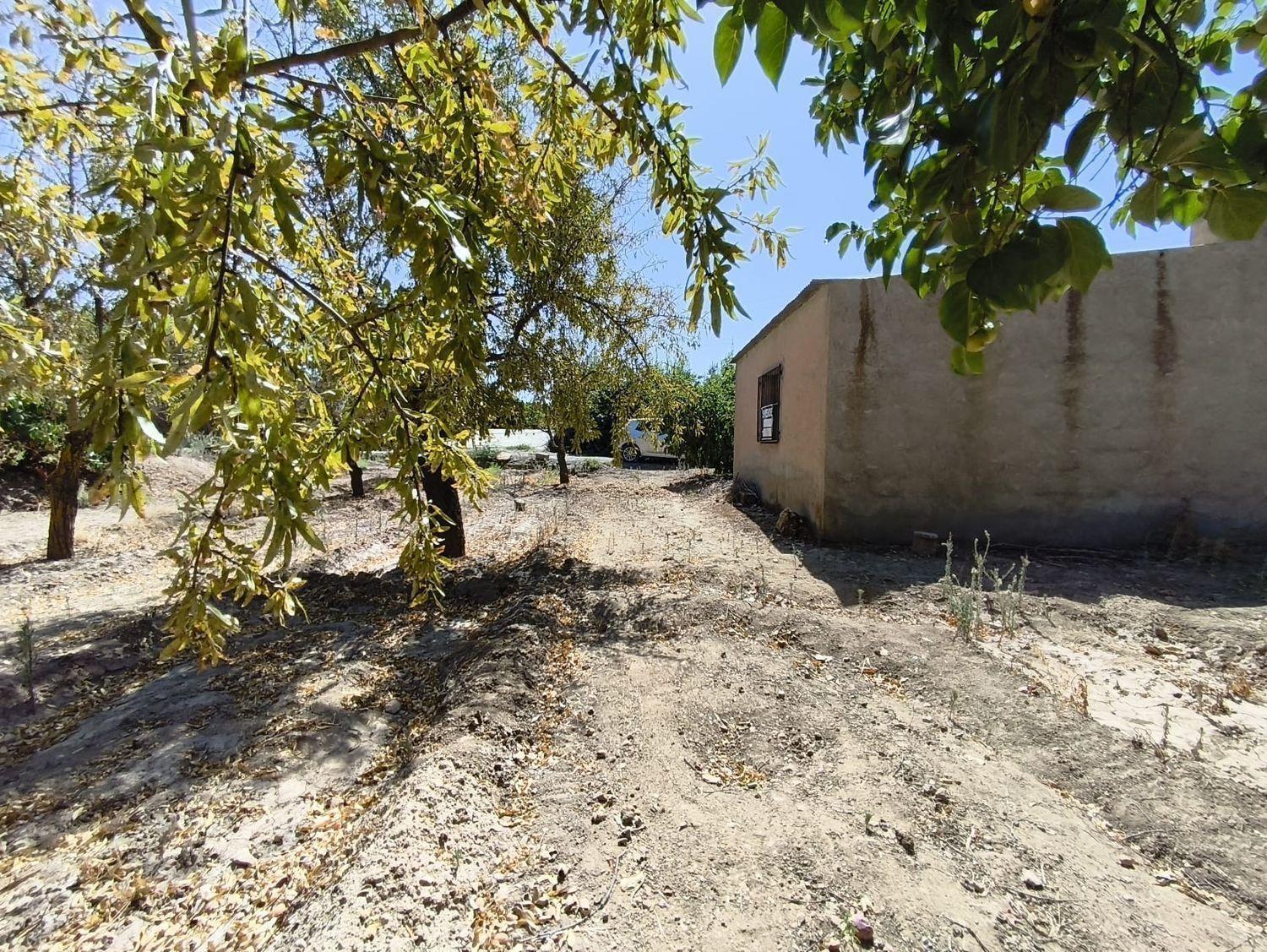 Building Site for Sale in Dúrcal