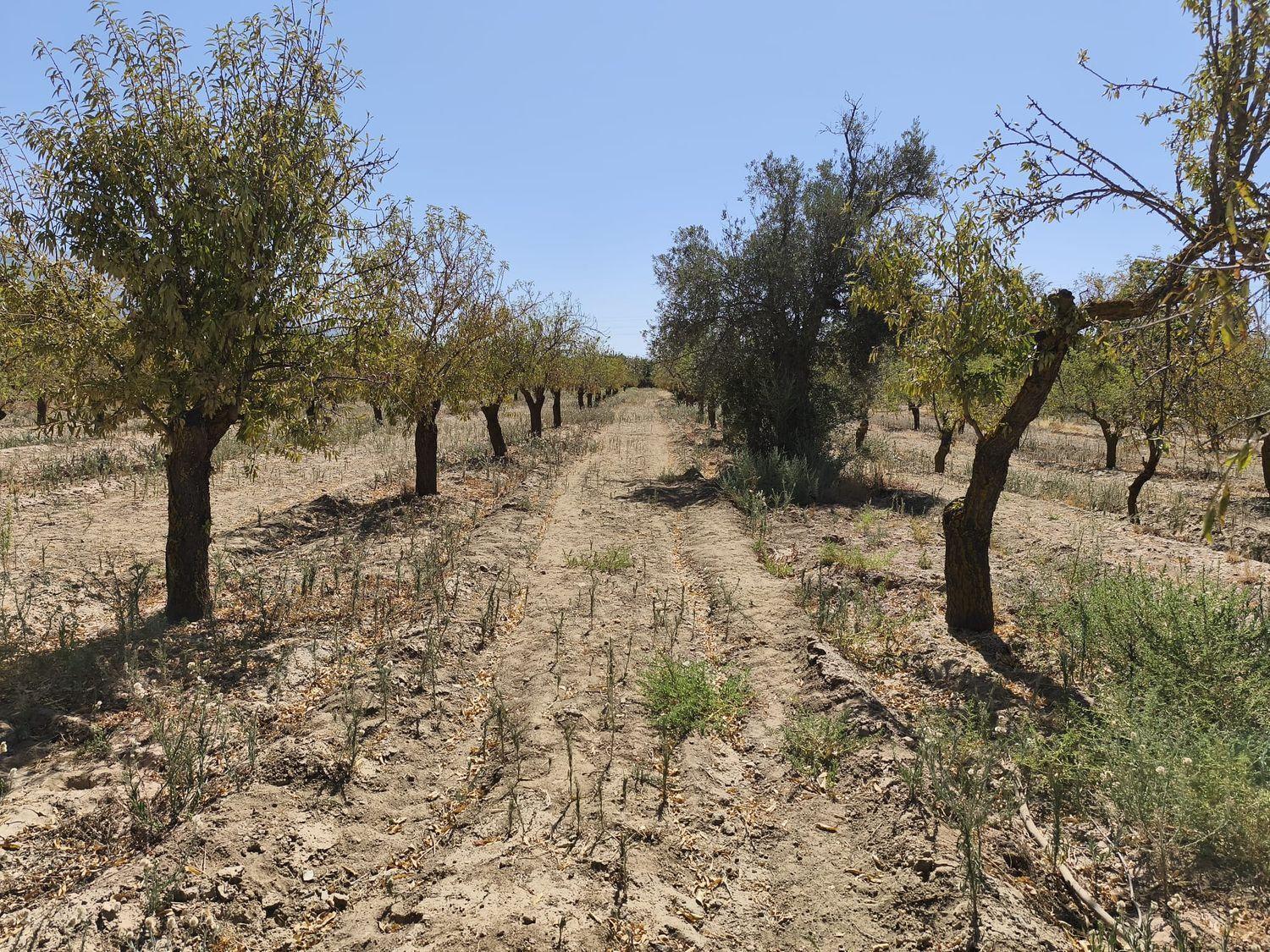 Building Site for Sale in Dúrcal