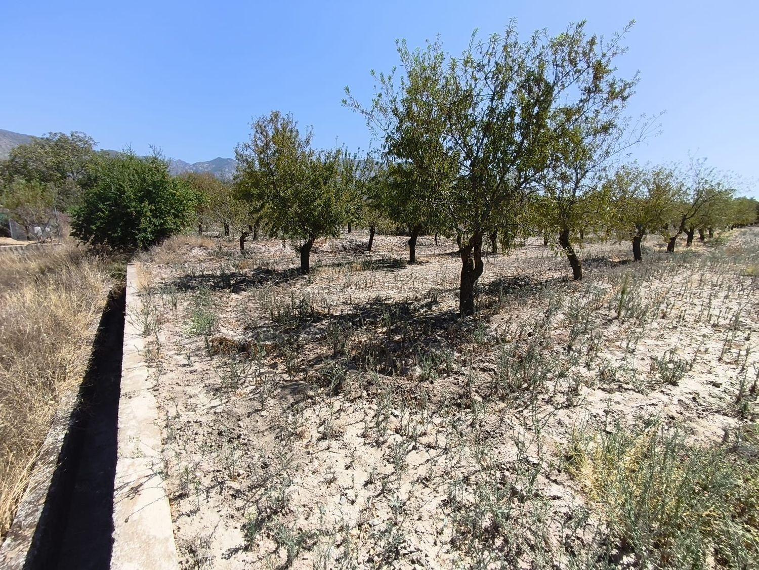 Building Site for Sale in Dúrcal