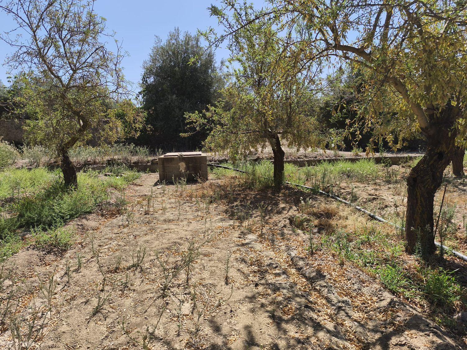 Building Site for Sale in Dúrcal
