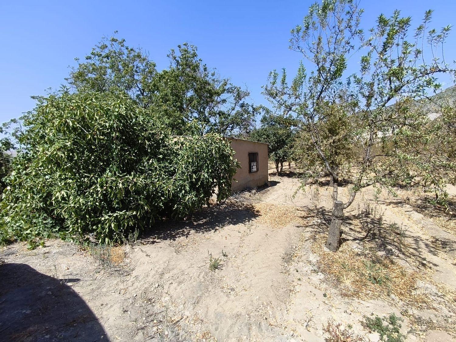 Building Site for Sale in Dúrcal