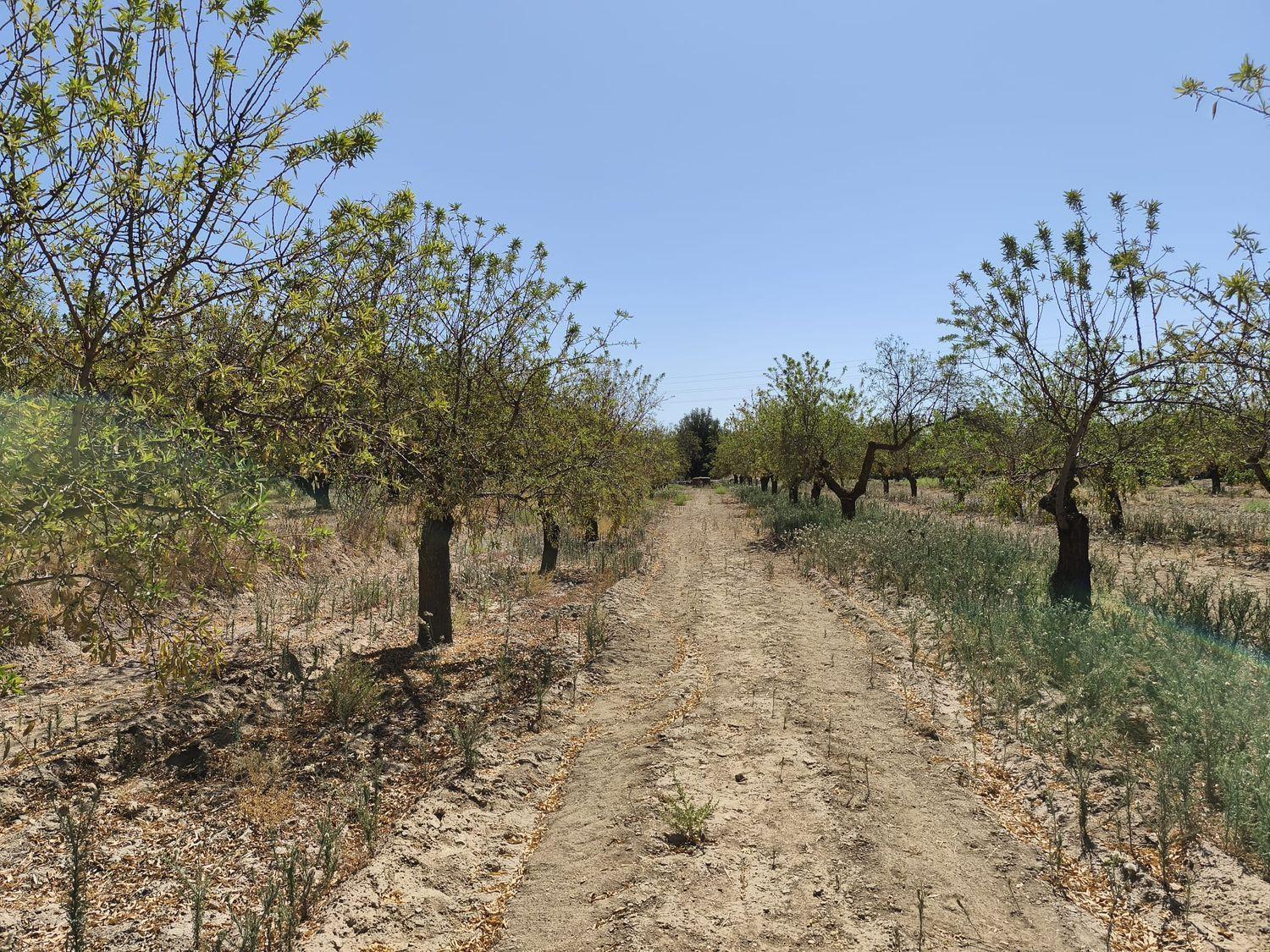 Building Site for Sale in Dúrcal
