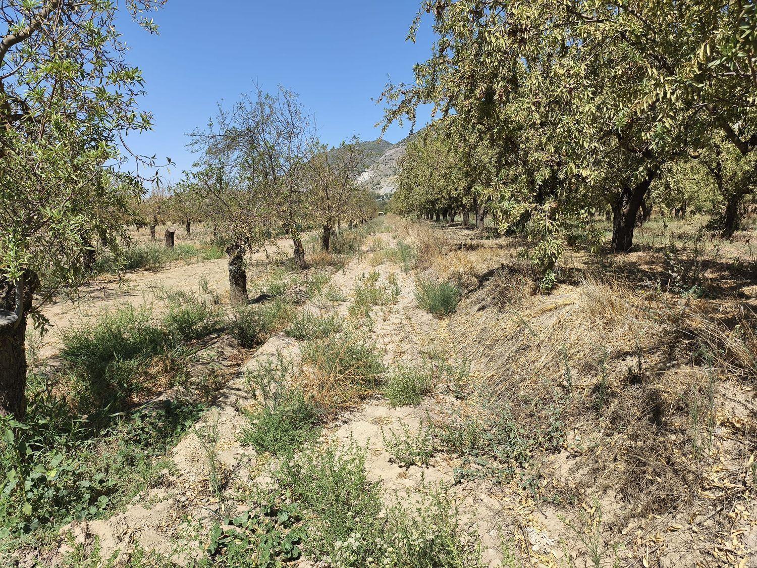 Building Site for Sale in Dúrcal
