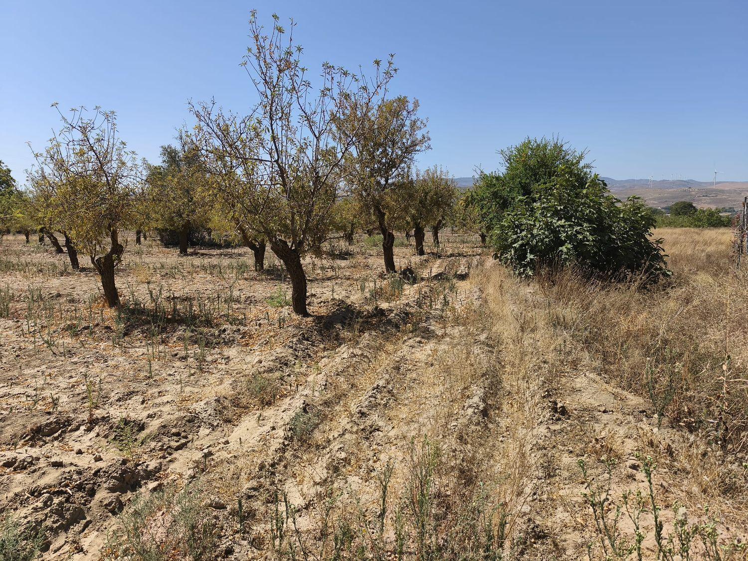 Building Site for Sale in Dúrcal