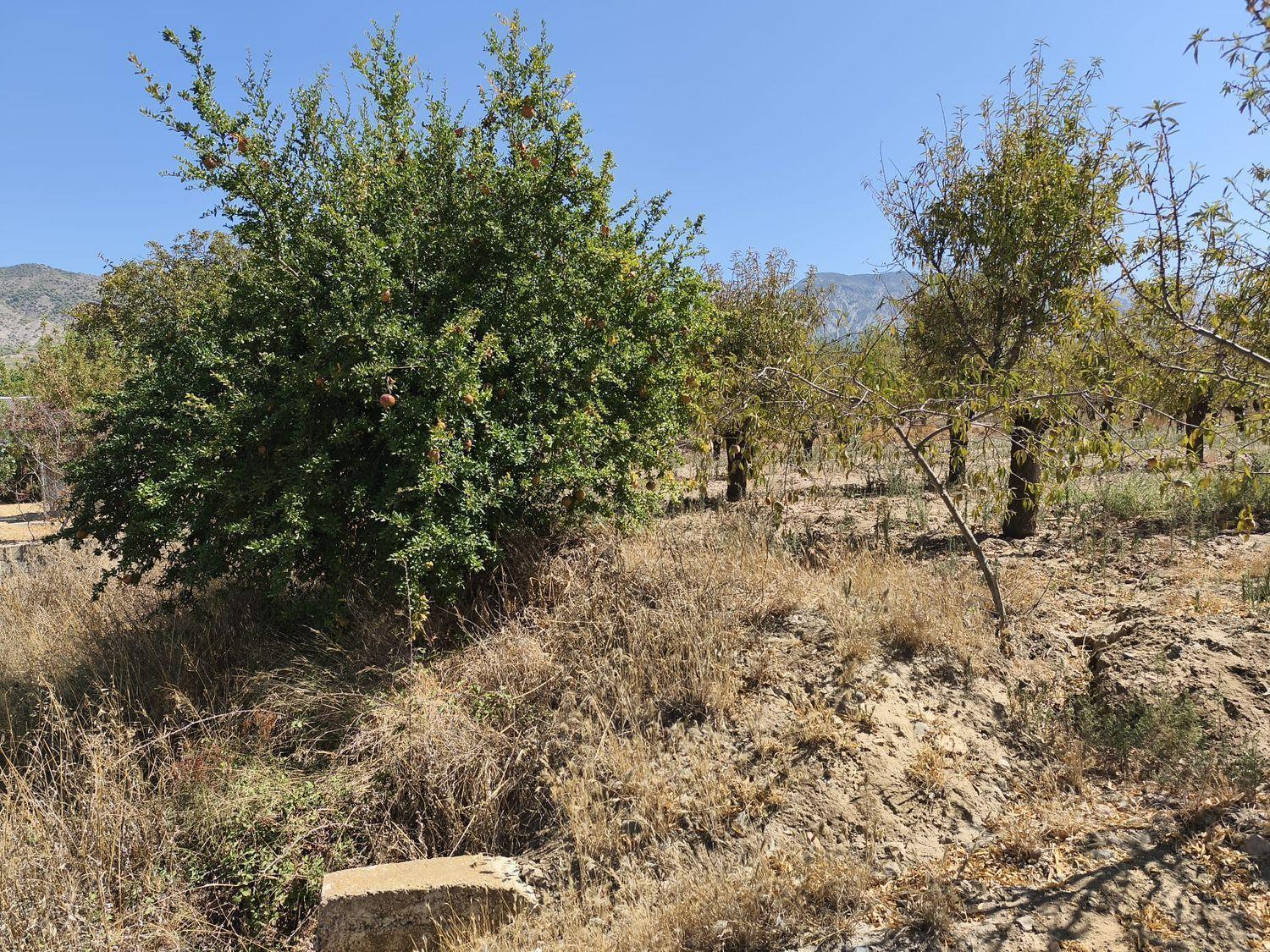 Building Site for Sale in Dúrcal