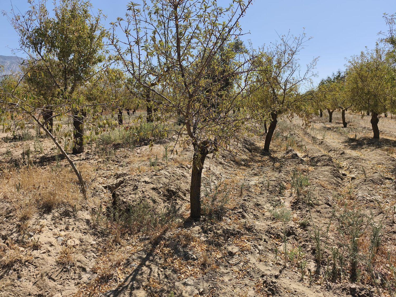 Building Site for Sale in Dúrcal
