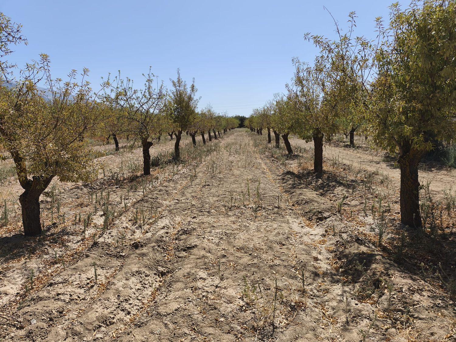 Building Site for Sale in Dúrcal