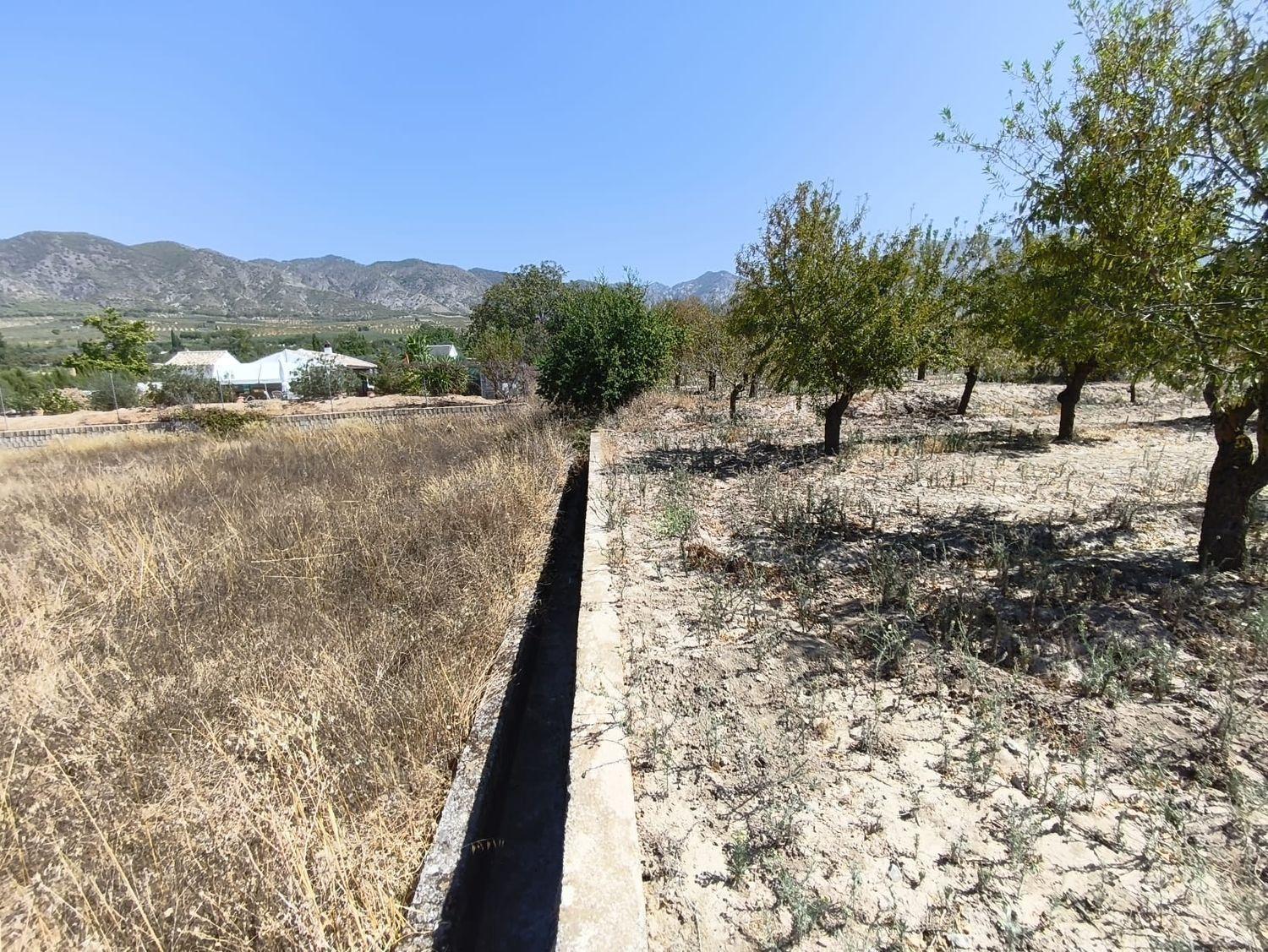 Building Site for Sale in Dúrcal