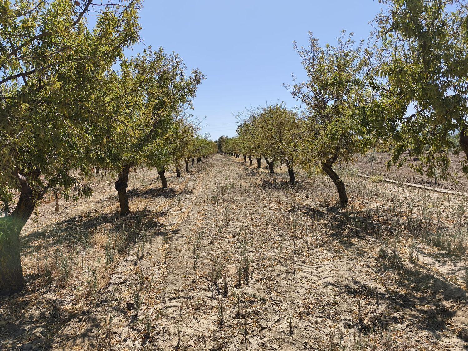Building Site for Sale in Dúrcal