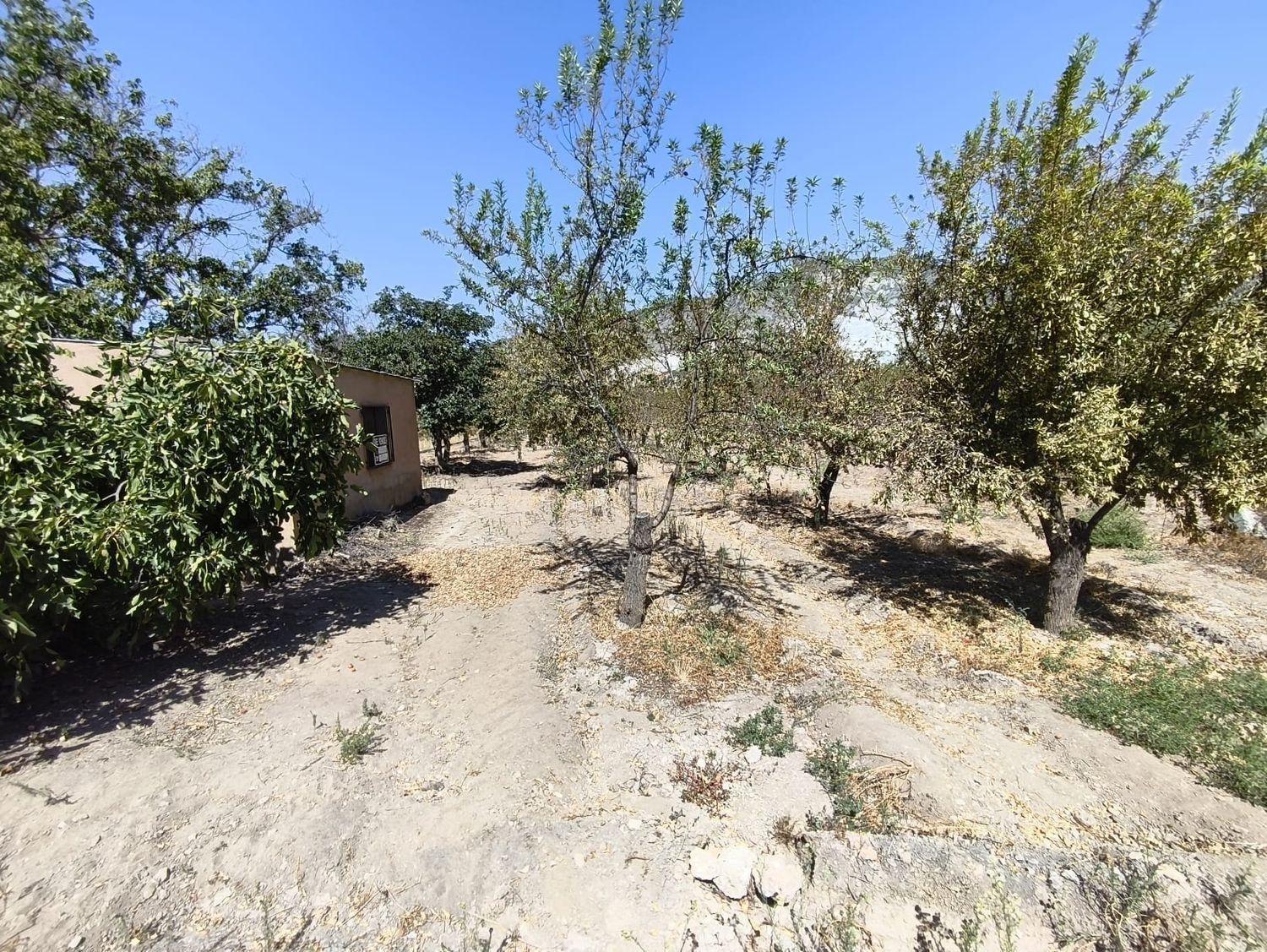 Building Site for Sale in Dúrcal