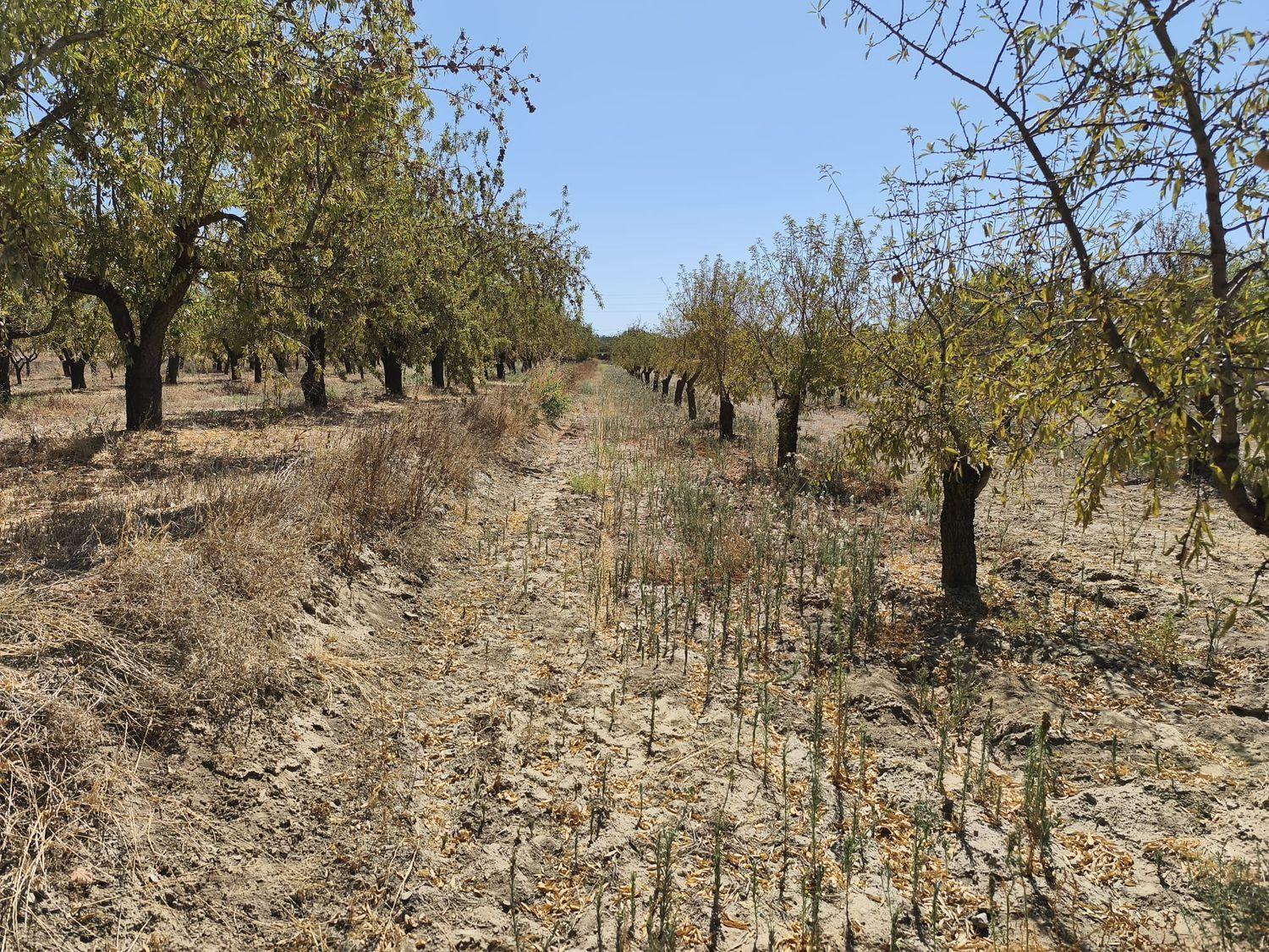 Building Site for Sale in Dúrcal