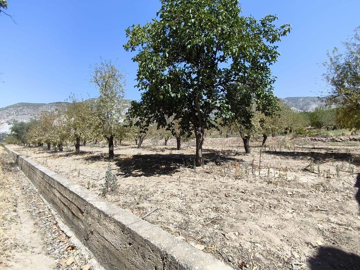 Building Site for Sale in Dúrcal