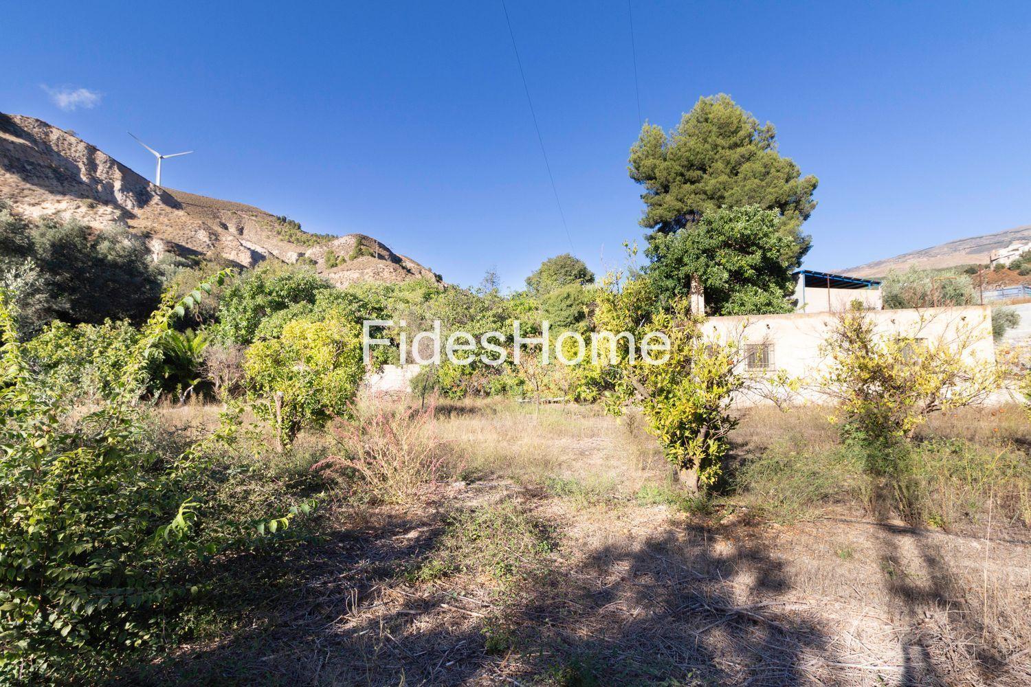 Solar en Venta en Lecrín