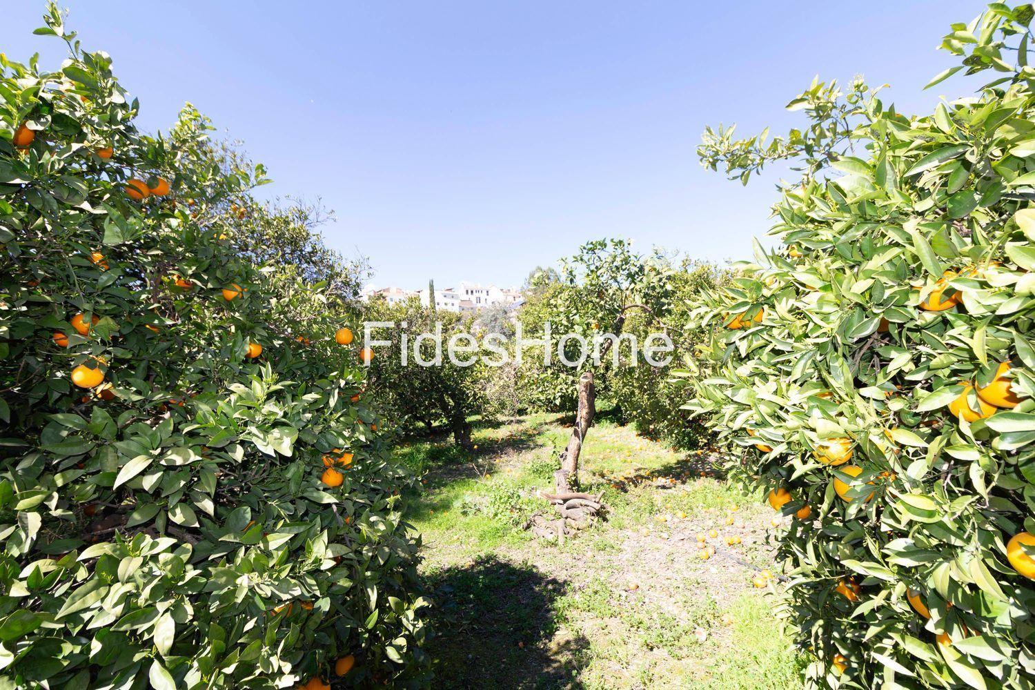 Plot for Sale in Lecrín