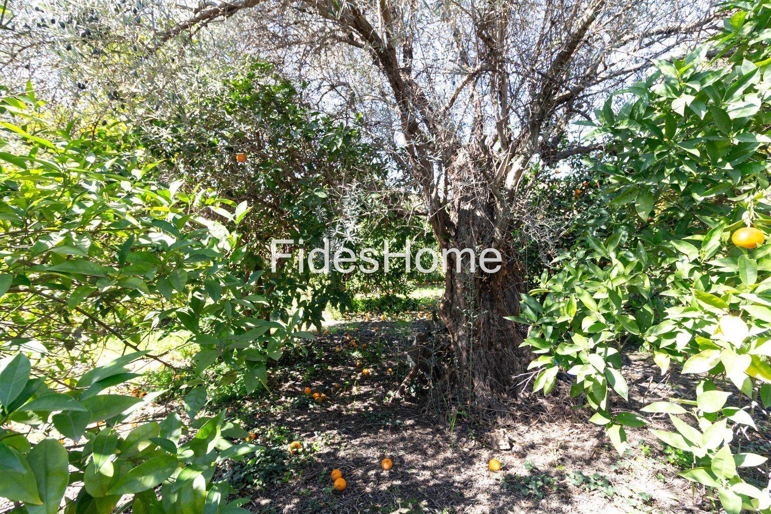 Plot for Sale in Lecrín