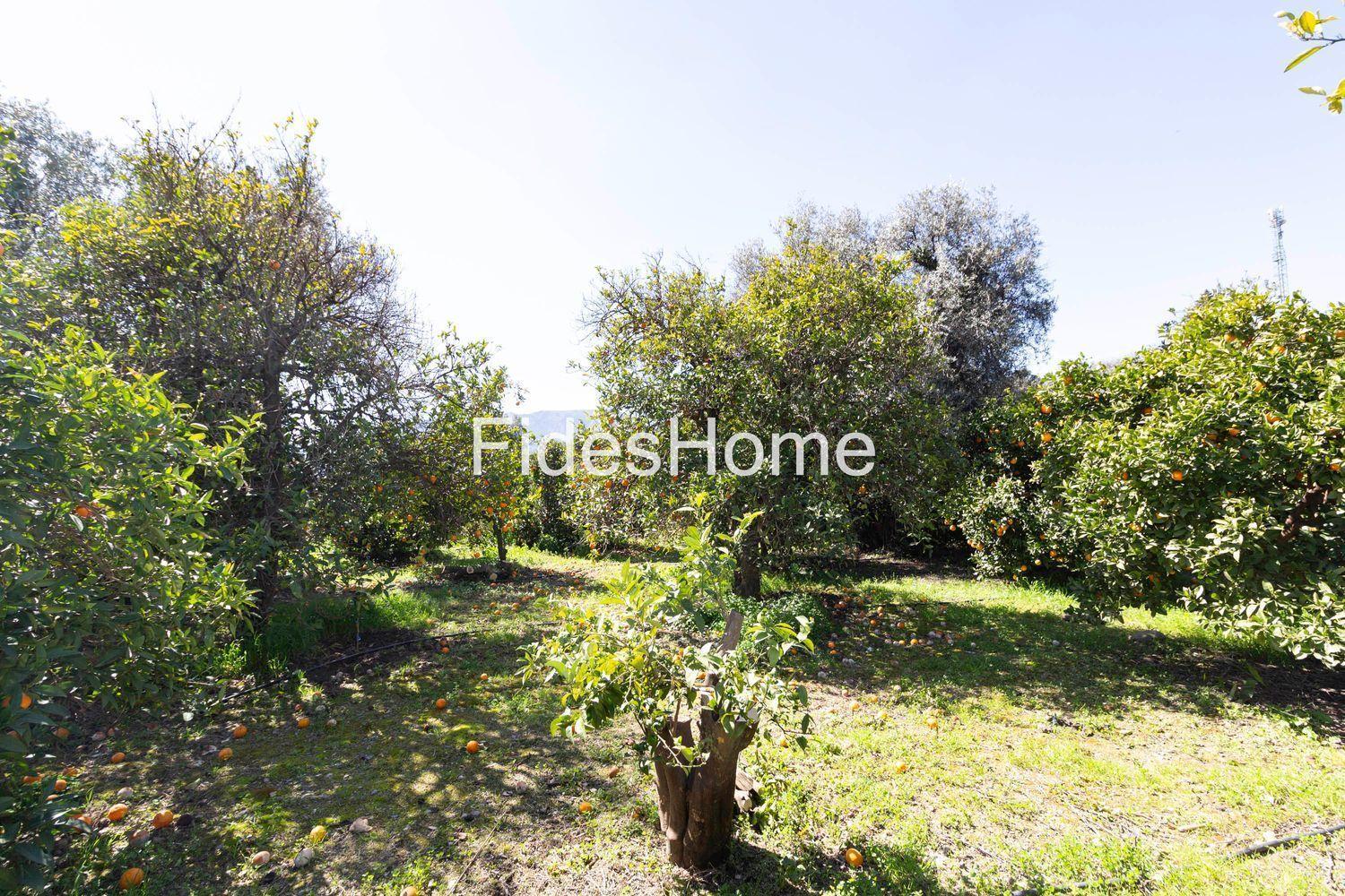 Building Site for Sale in Lecrín
