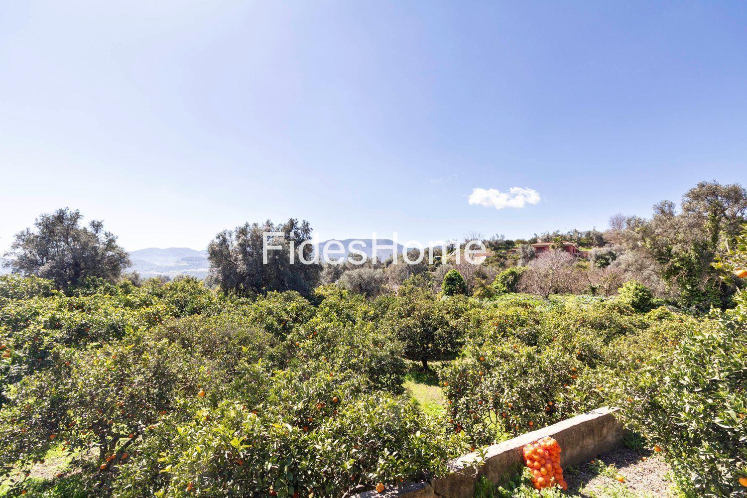 Building Site for Sale in Lecrín