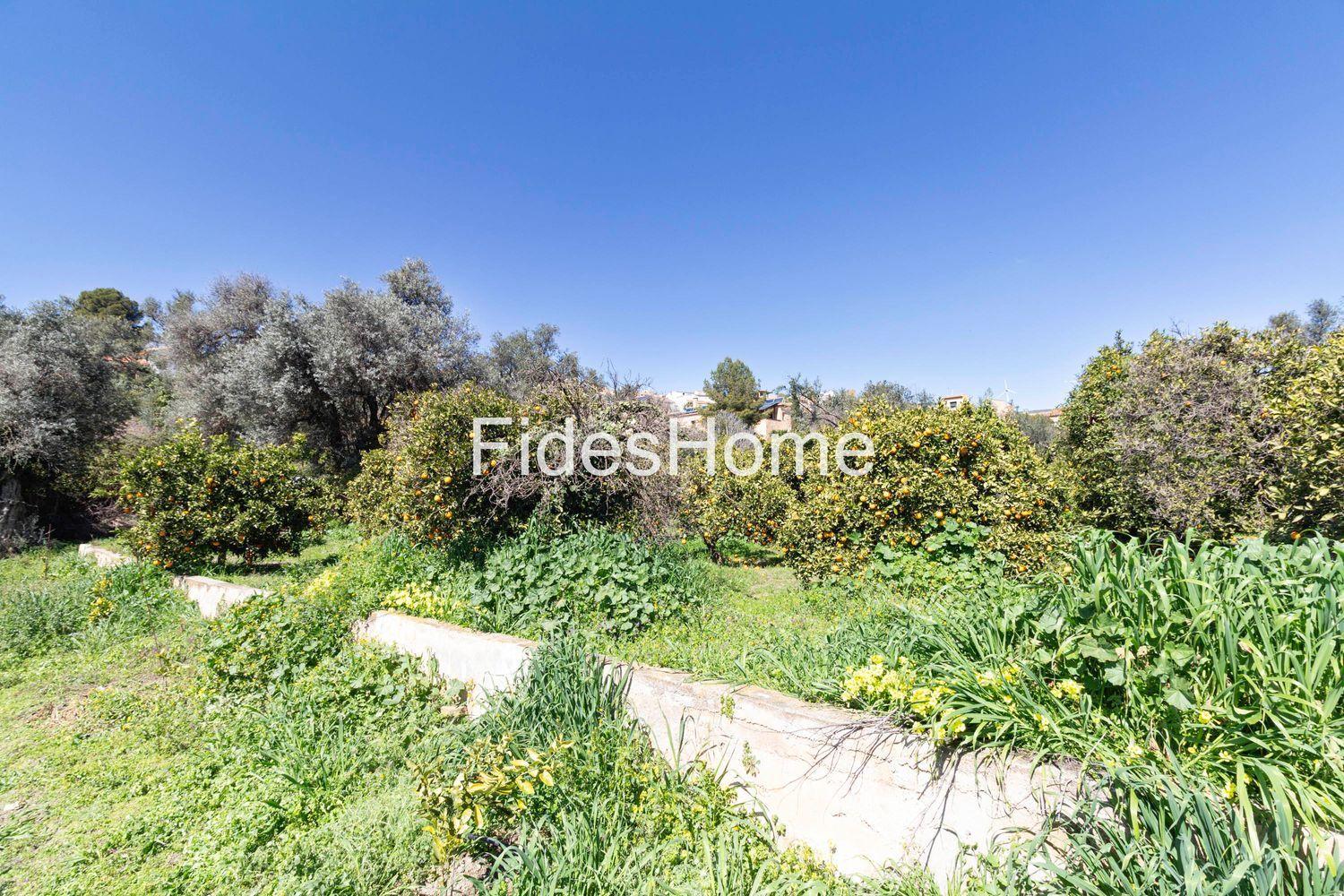 Plot for Sale in Lecrín