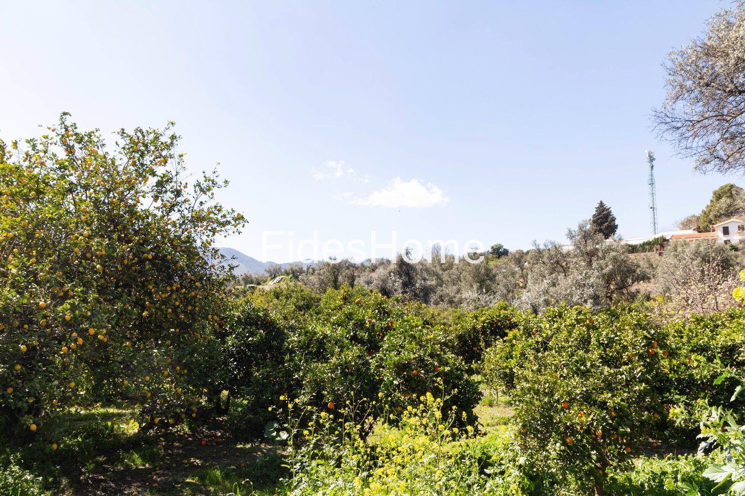 Plot for Sale in Lecrín