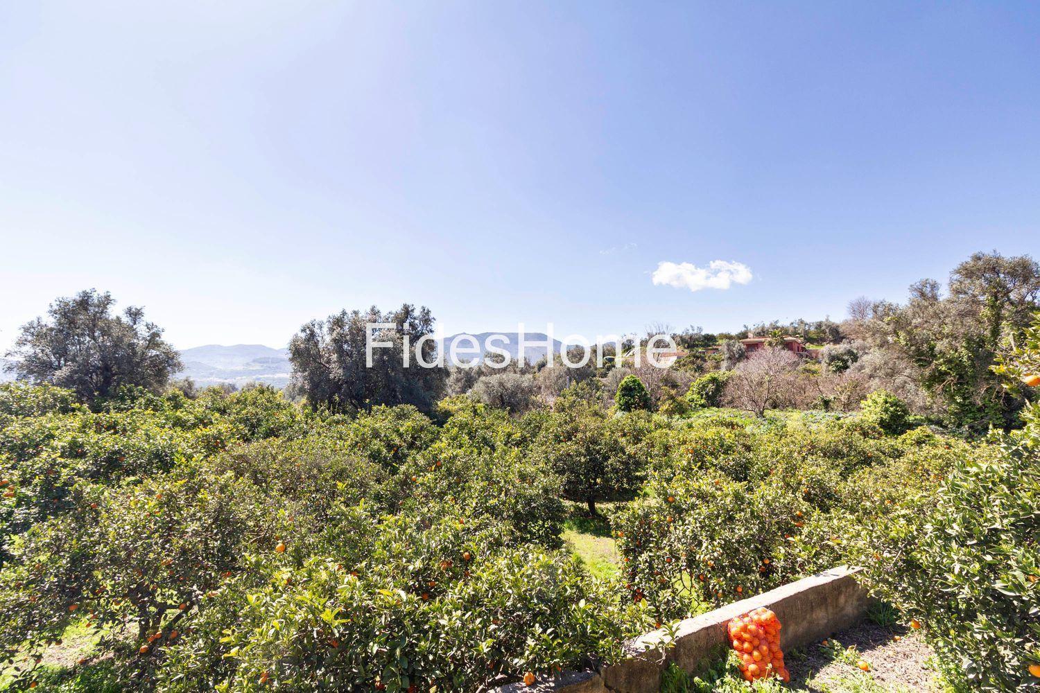 Plot for Sale in Lecrín