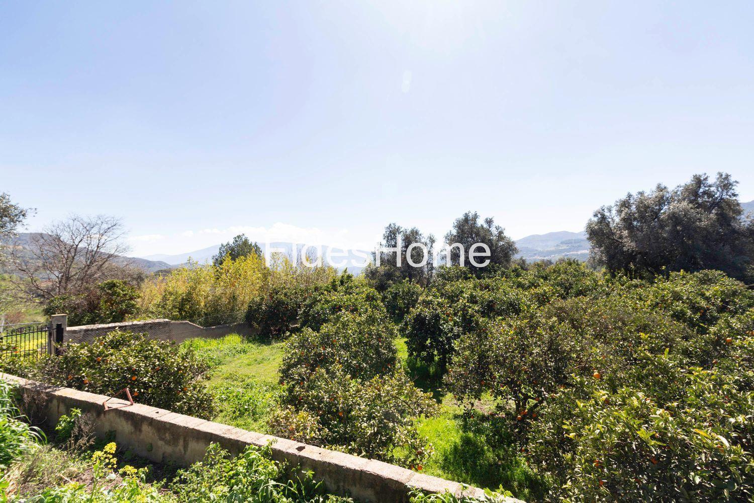 Building Site for Sale in Lecrín