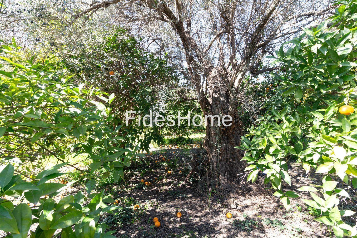 Building Site for Sale in Lecrín