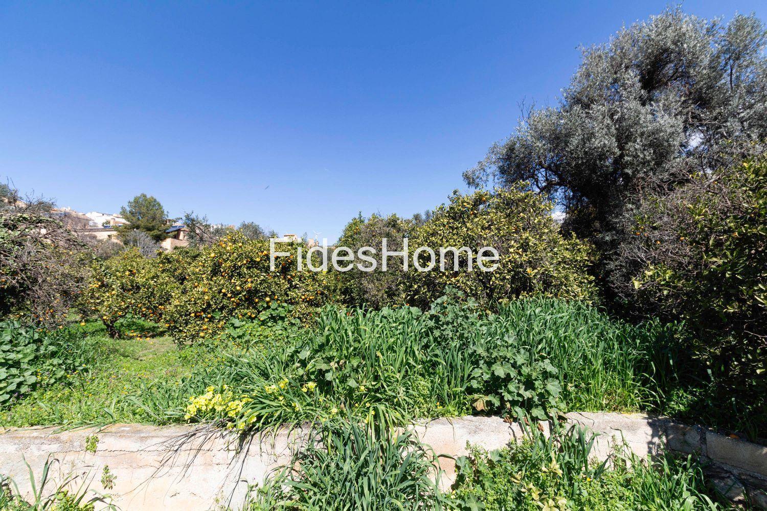 Plot for Sale in Lecrín