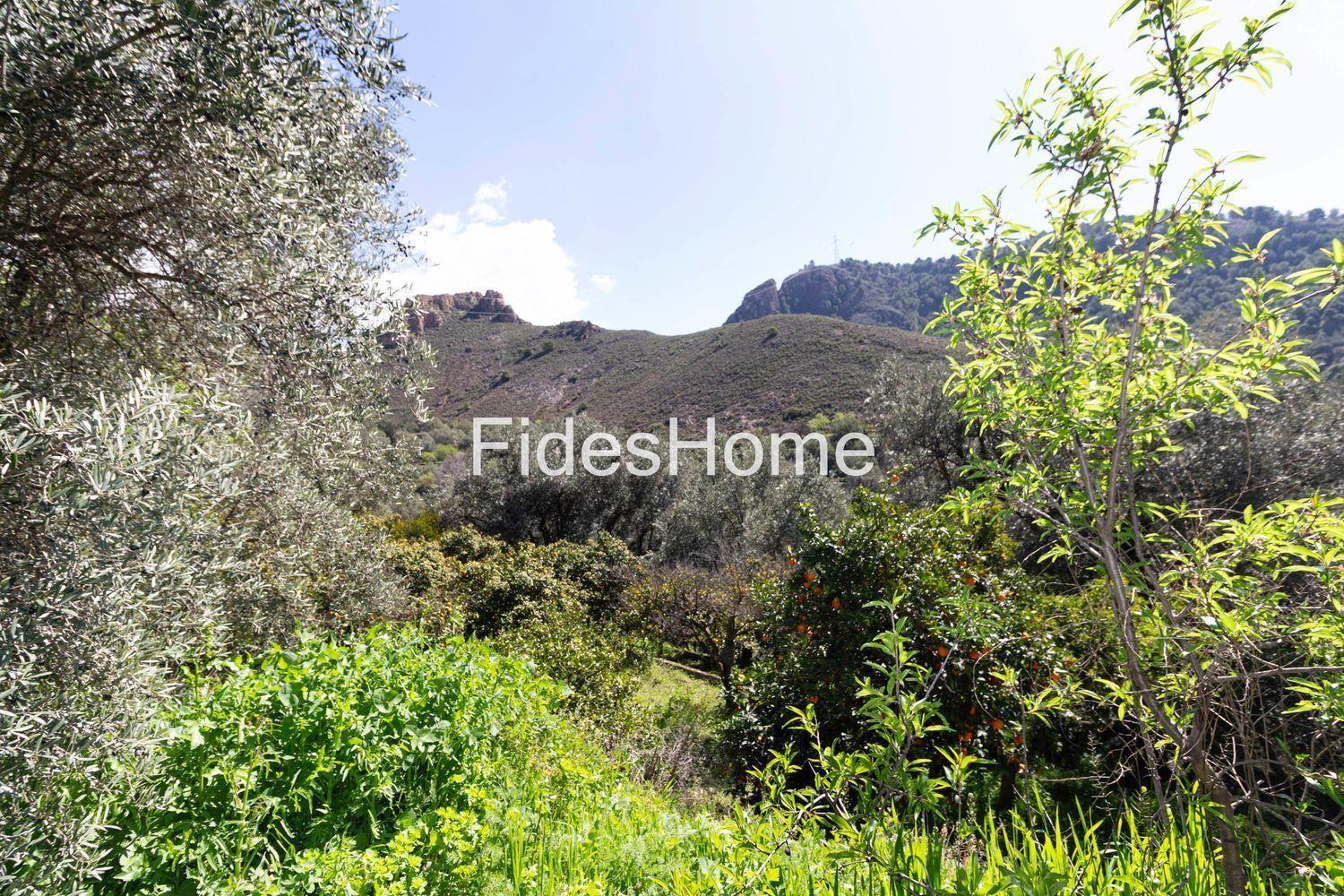Building Site for Sale in Lecrín