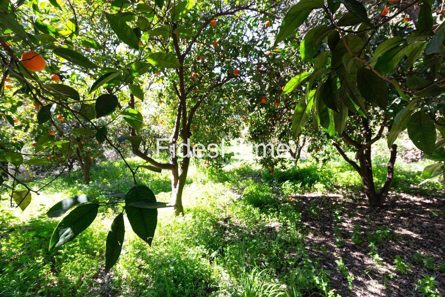 Building Site for Sale in Lecrín
