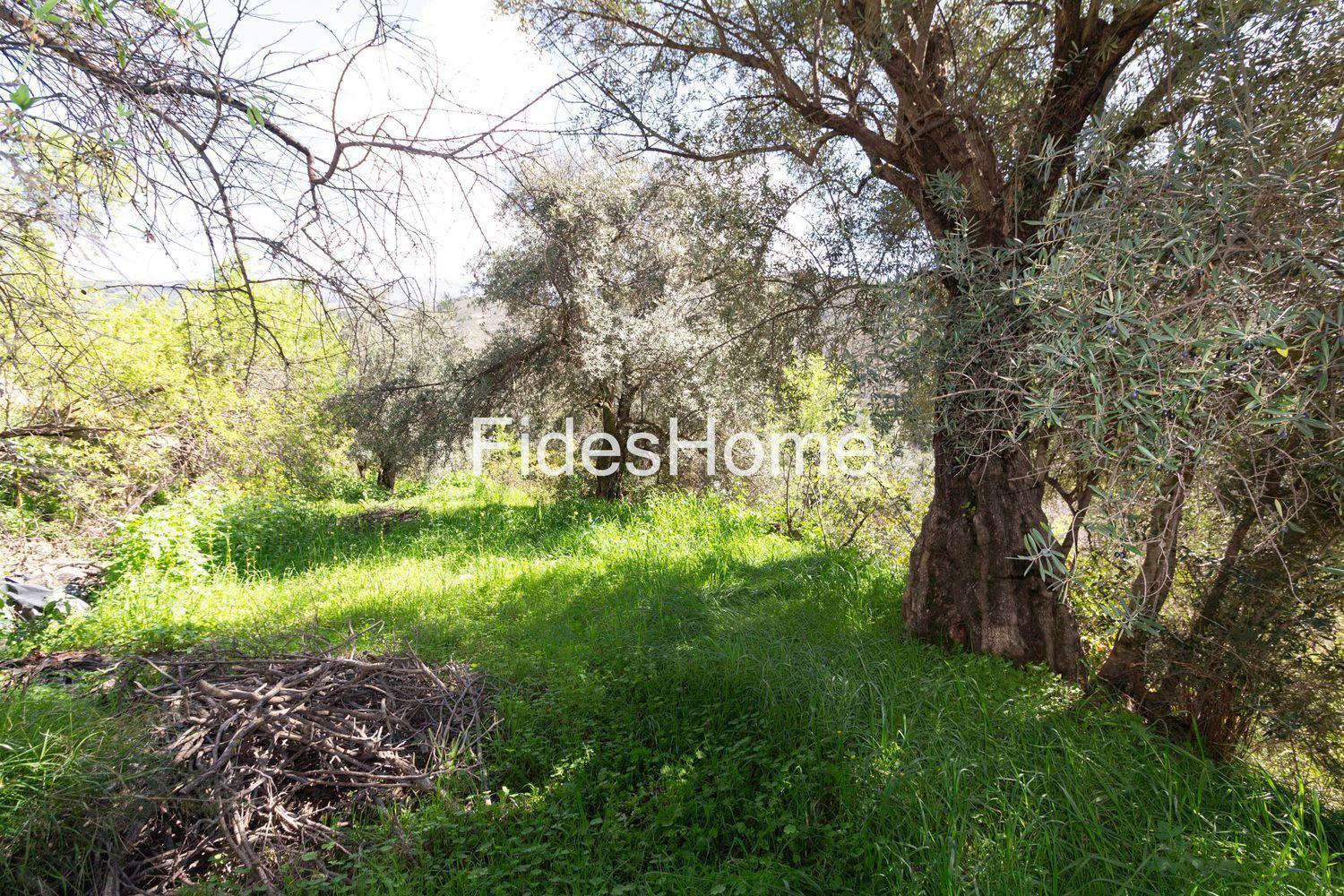 Building Site for Sale in Lecrín