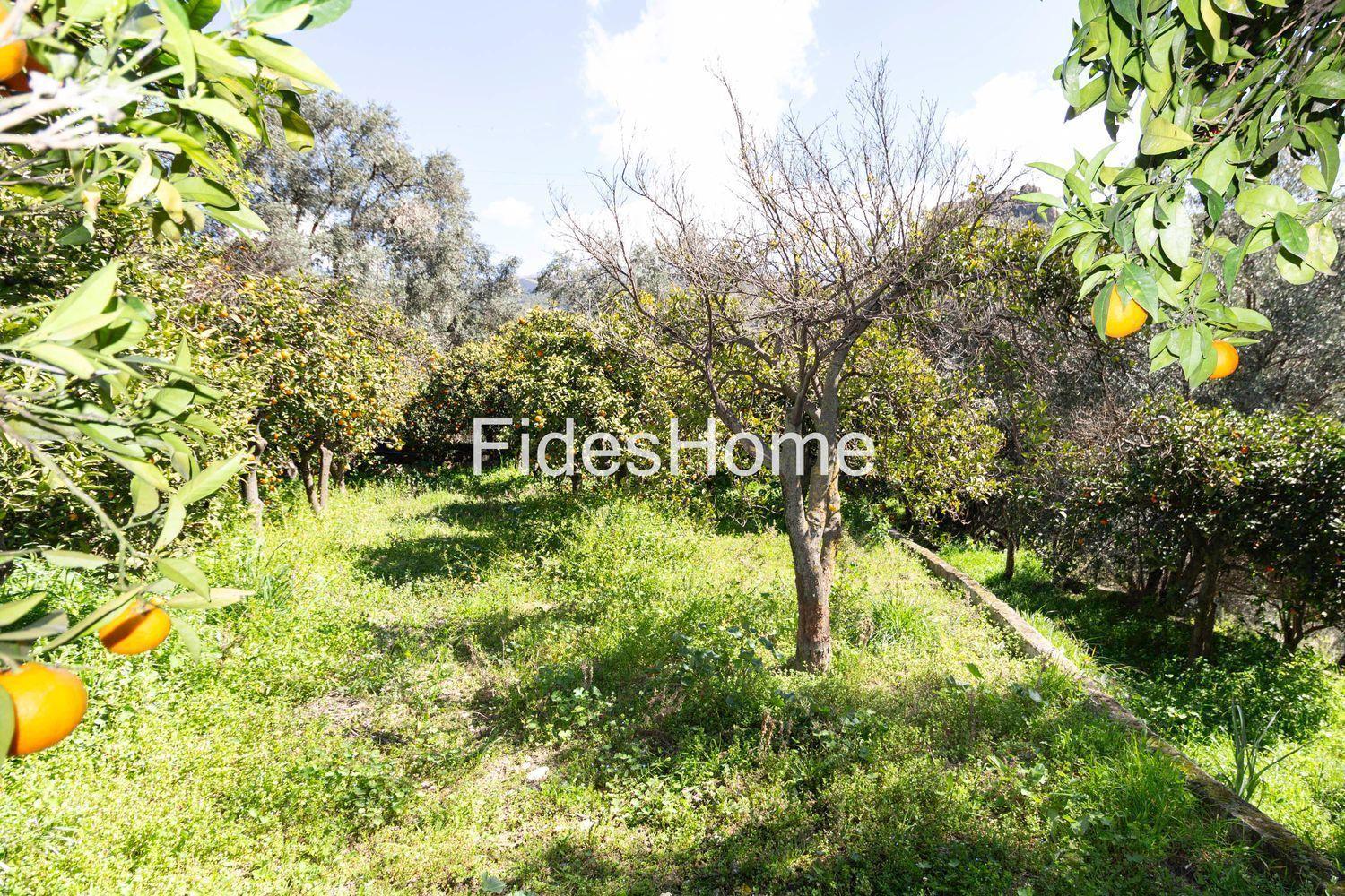 Building Site for Sale in Lecrín