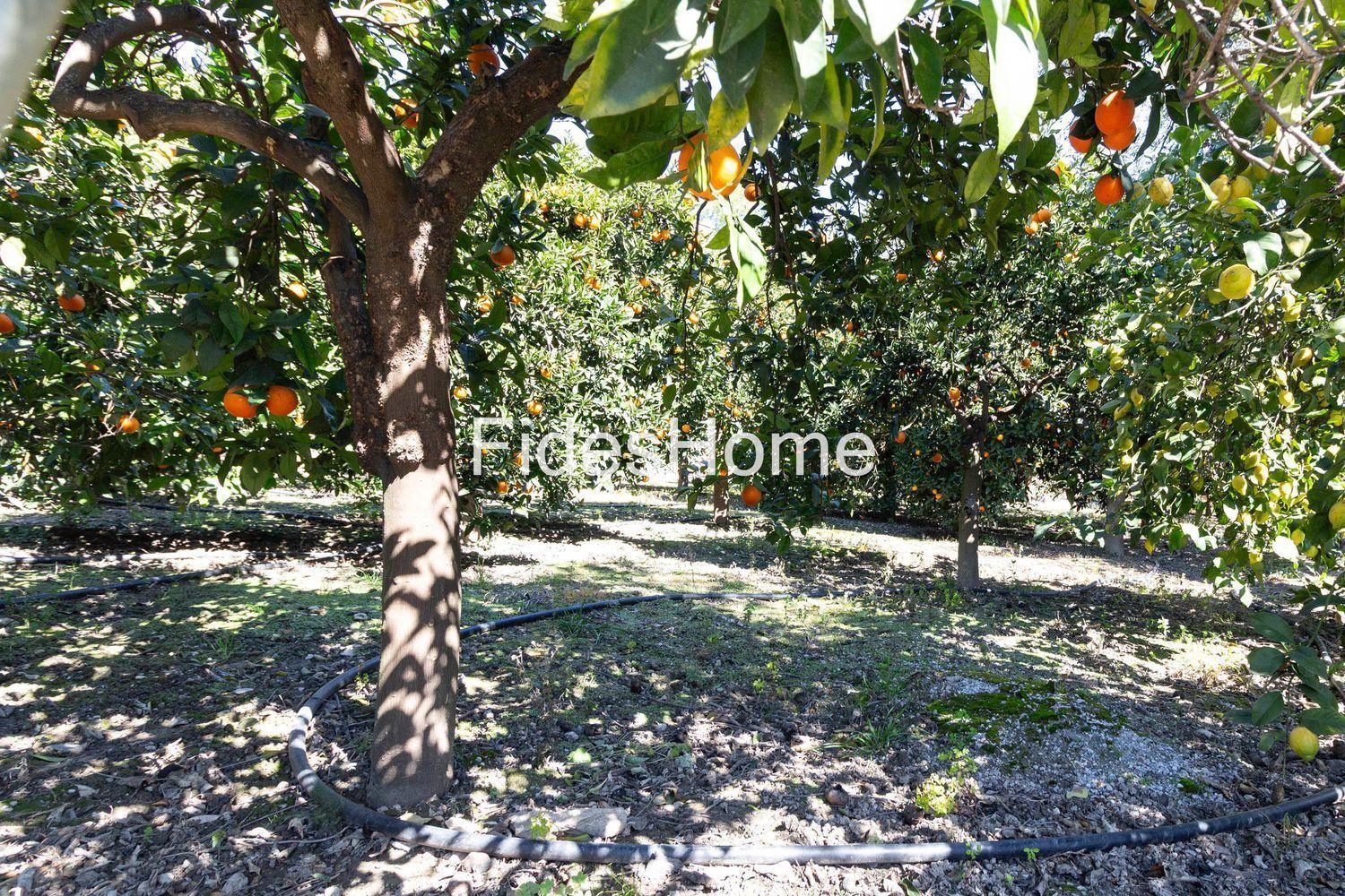Building Site for Sale in Lecrín
