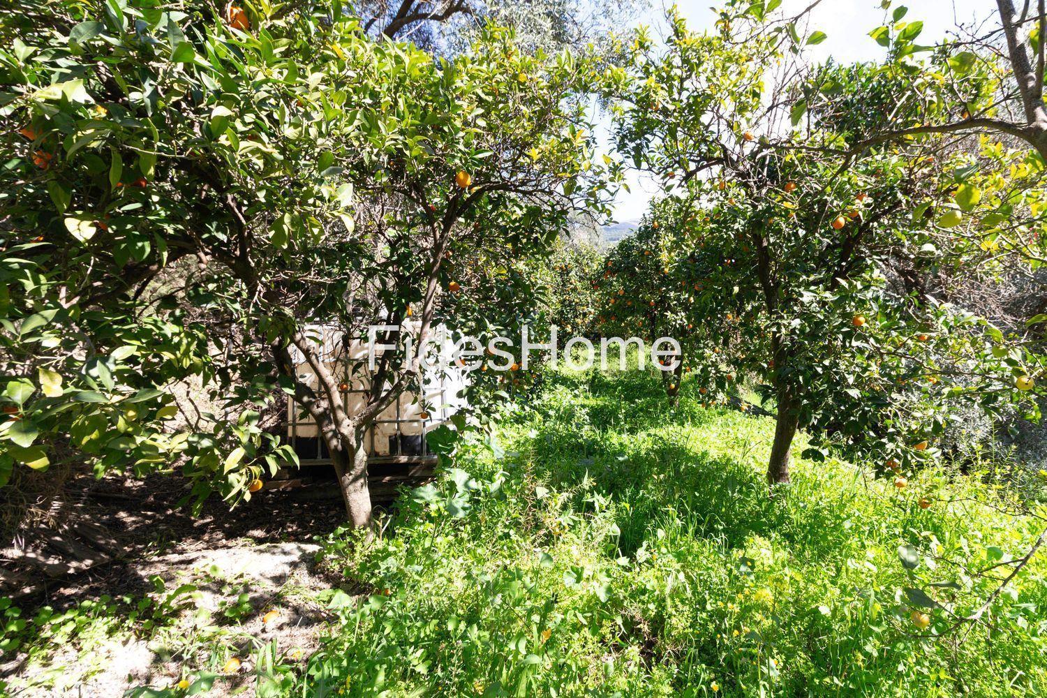Building Site for Sale in Lecrín